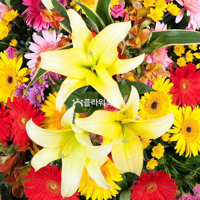 상세이미지