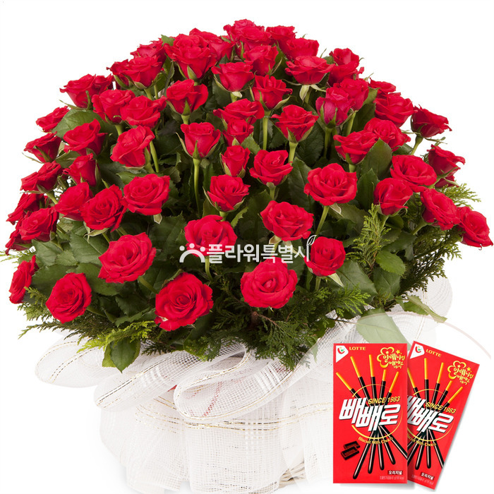 상세이미지