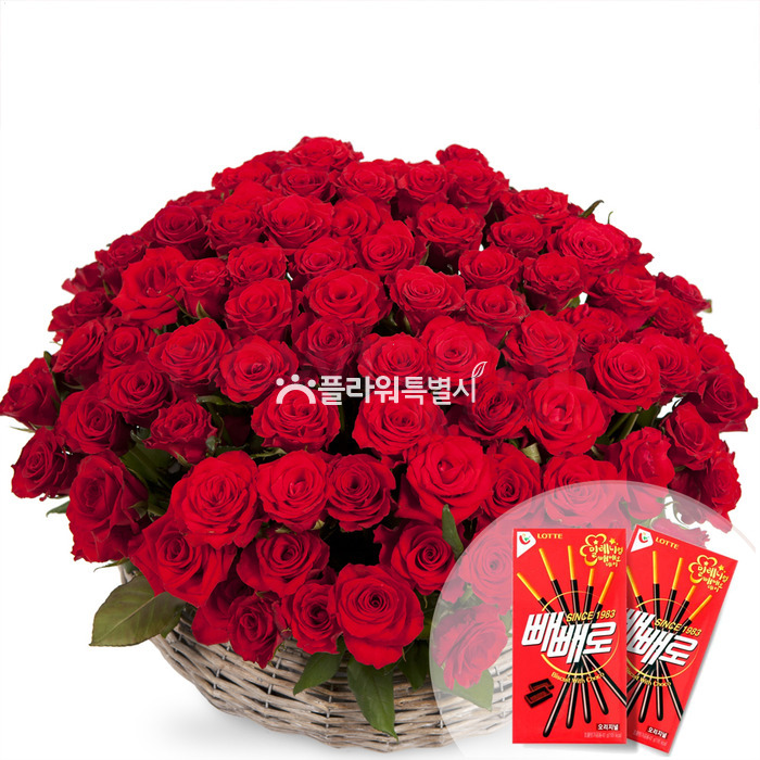 상세이미지