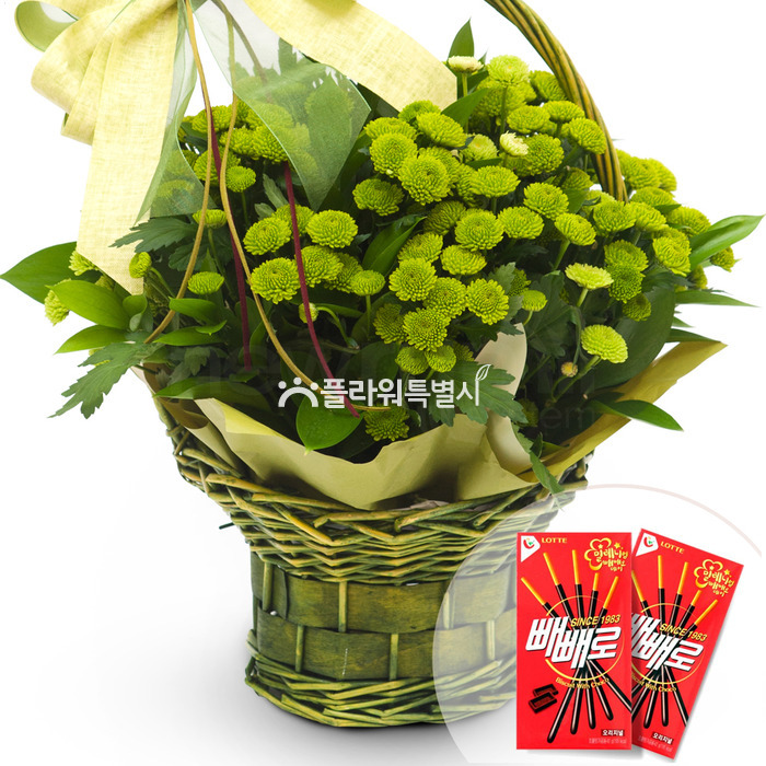 상세이미지