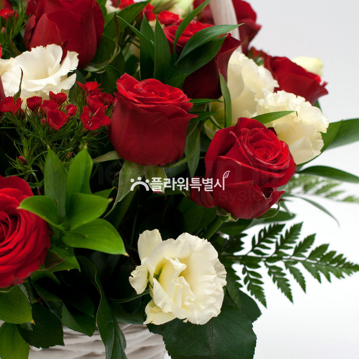 상세이미지