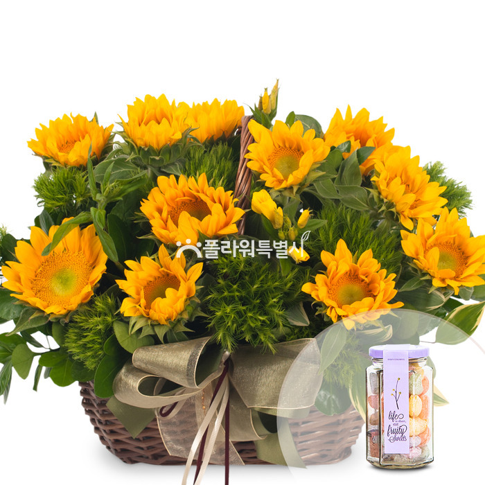 상세이미지