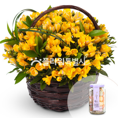 후리지아(초콜릿 & 캔디포함)