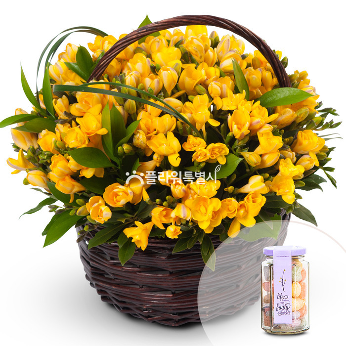 상세이미지