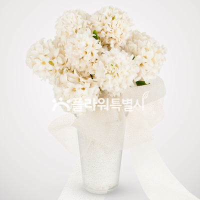 히야신스부케(그레이)