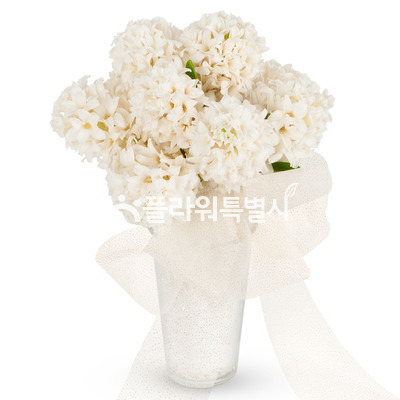 히야신스부케1004