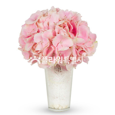 핑크러브스토리♥
