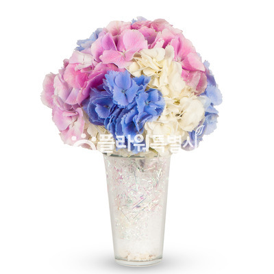 허니문