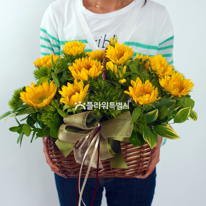 상세이미지