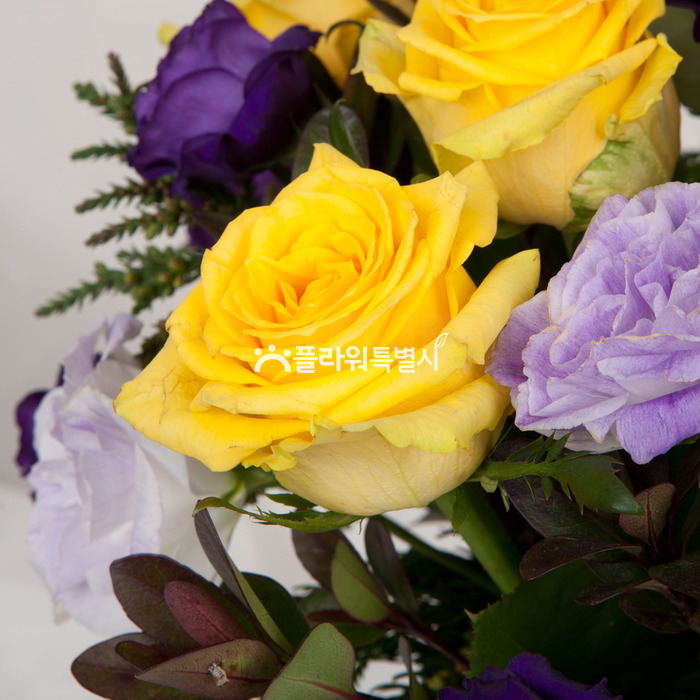 상세이미지