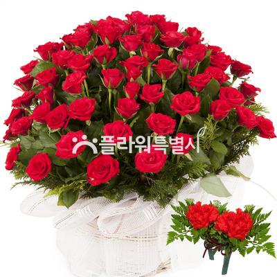 감사합니다1호