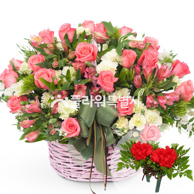 사피아장미혼합바구니