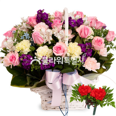 매일보고싶다
