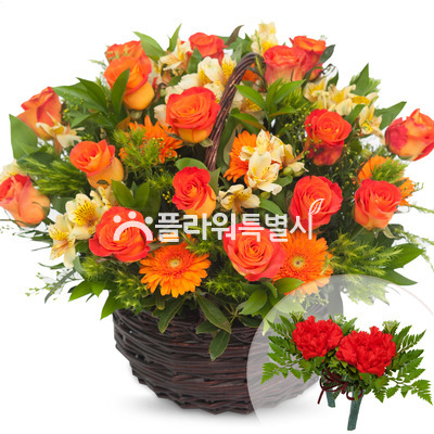 행복한만남