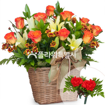 레가토장미혼합바구니2