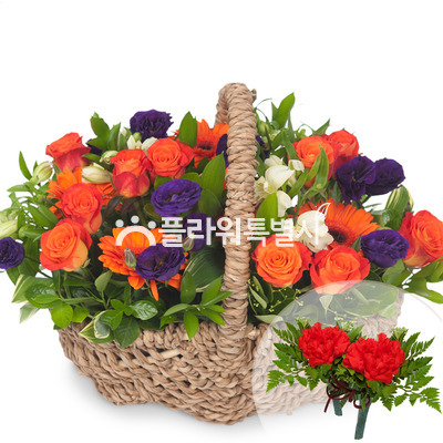 그대의눈빛