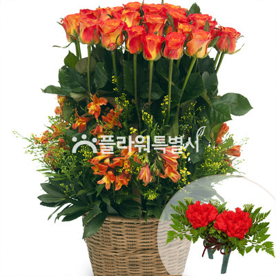 주황색장미바구니