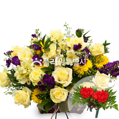 내사랑은핫초코
