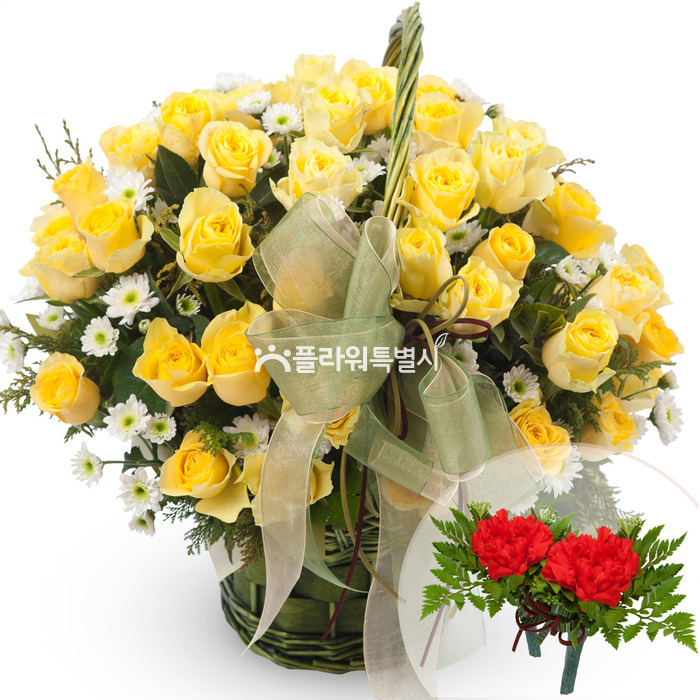 상세이미지