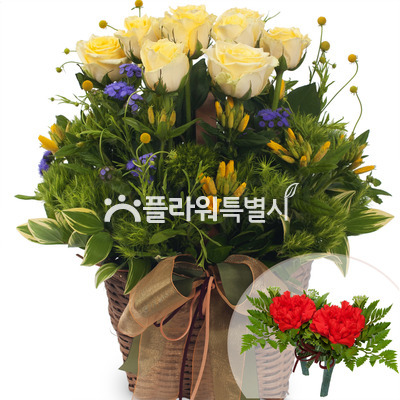 옐로우톤바구니