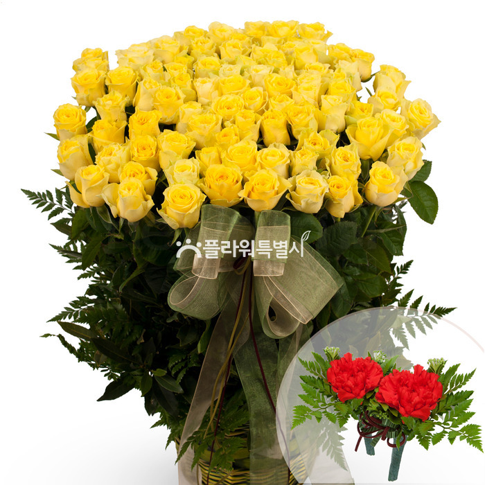 상세이미지