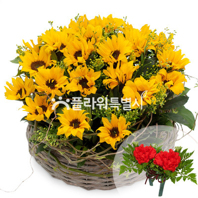 해바라기바구니2