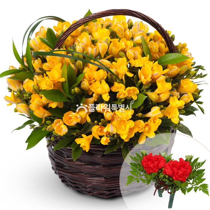 상세이미지