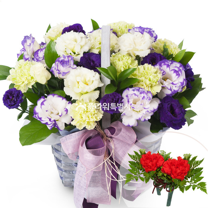 상세이미지