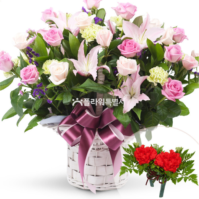 상세이미지