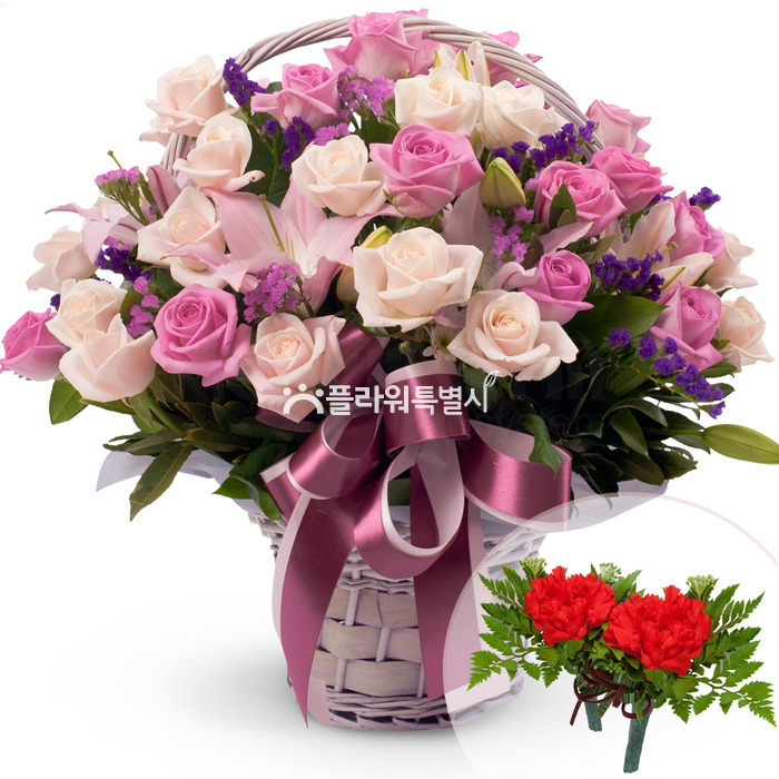 상세이미지