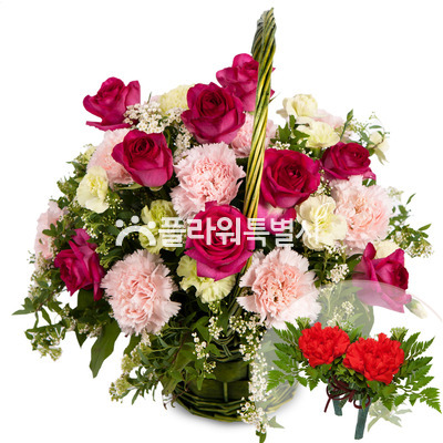 빨강장미카네이션바구니2