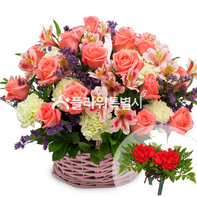사피아혼합바구니