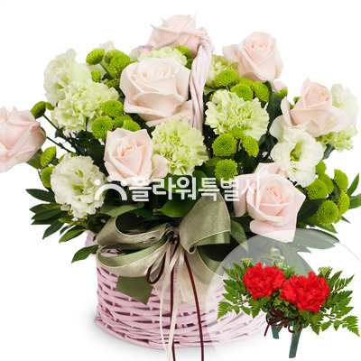 카네이션장미바구니