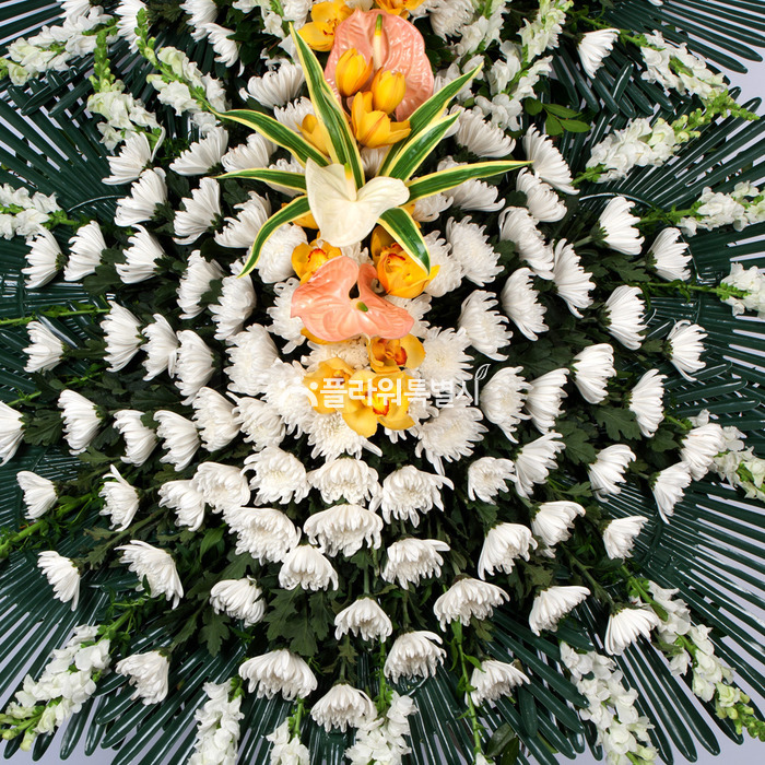 상세이미지