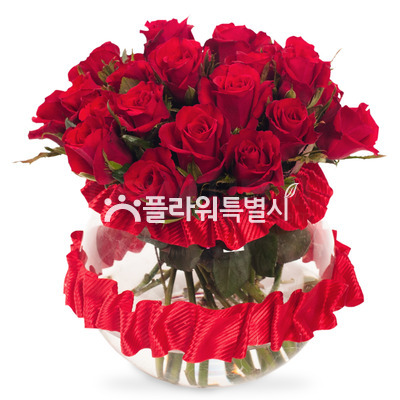유리화기_레드