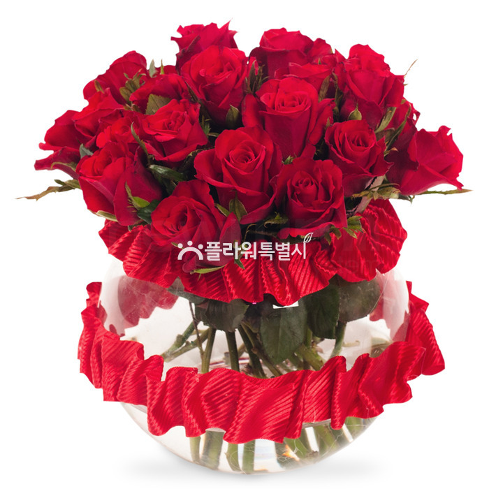 상세이미지