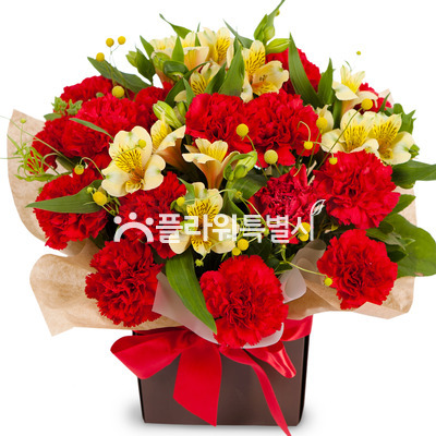 카네이션상자