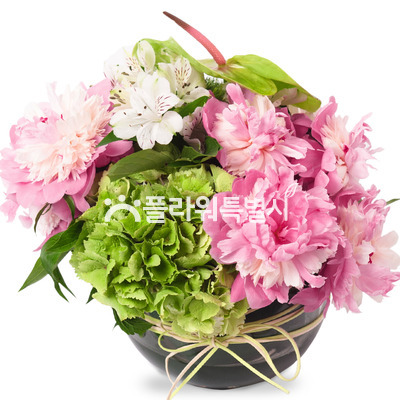 수국작약화기꽃병(예약배송)