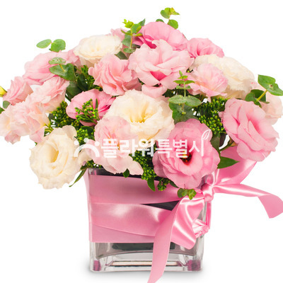 유리화기_리시안핑크