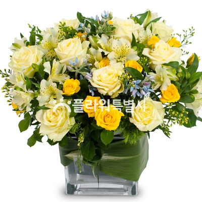 사각유리화기_화이트