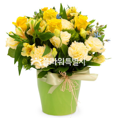 화병디자인_노랑