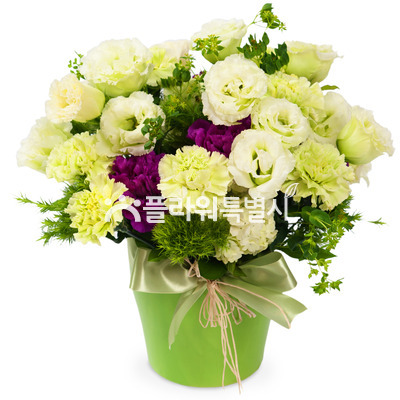스프레이믹스 화병