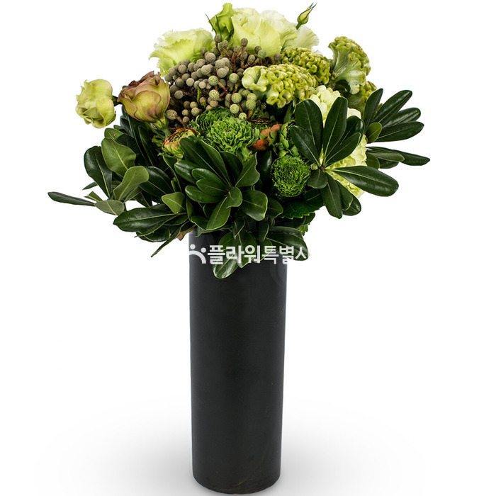 상세이미지