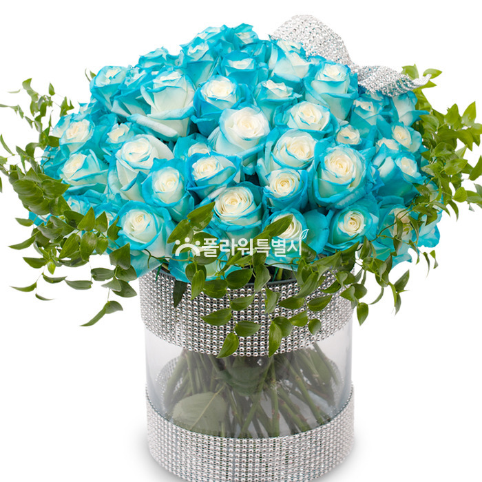 상세이미지