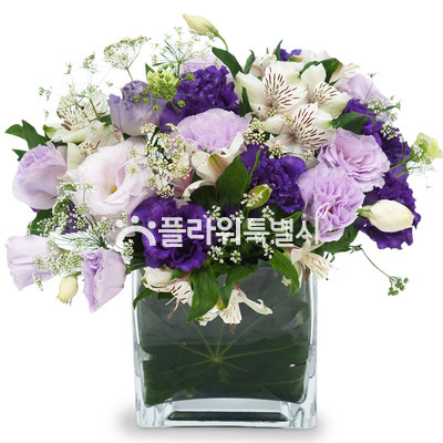 유리화기혼합디자인2
