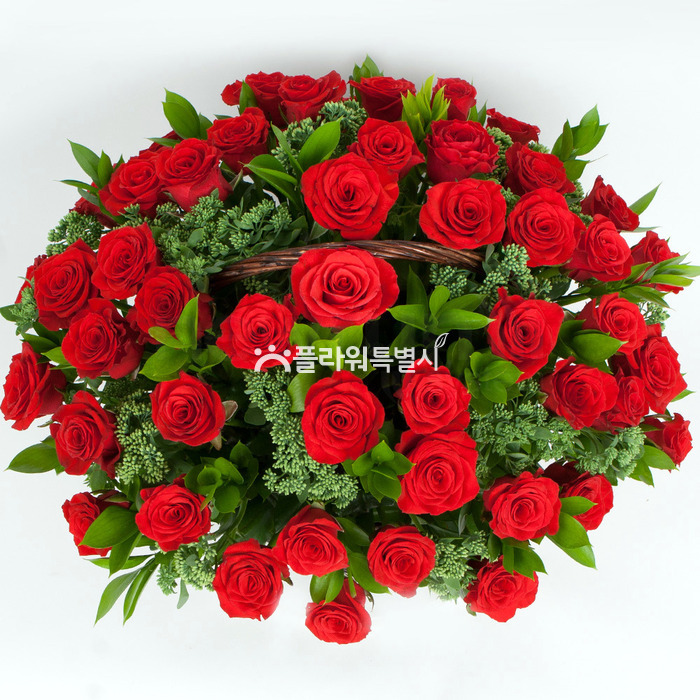 상세이미지