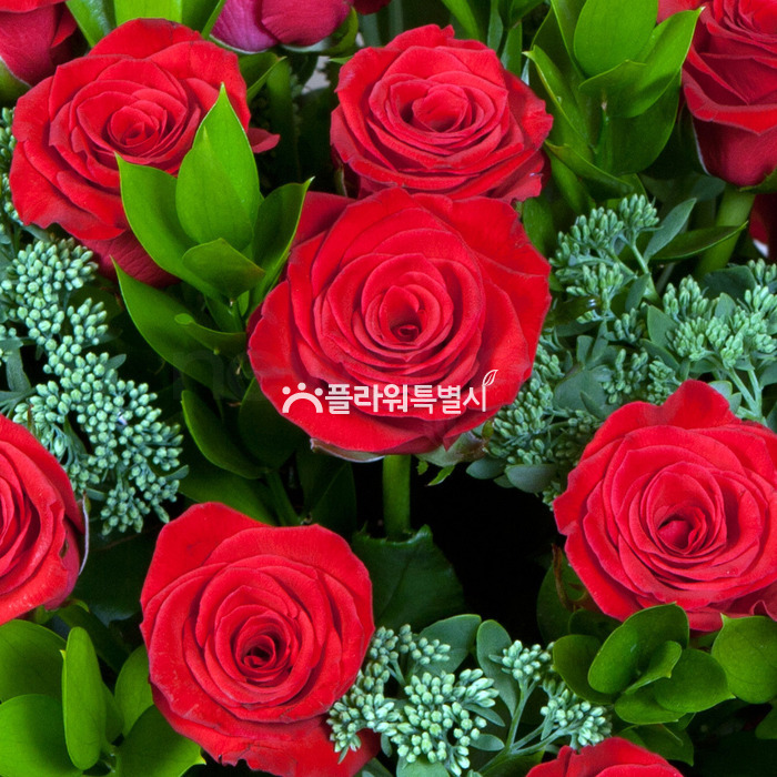 상세이미지