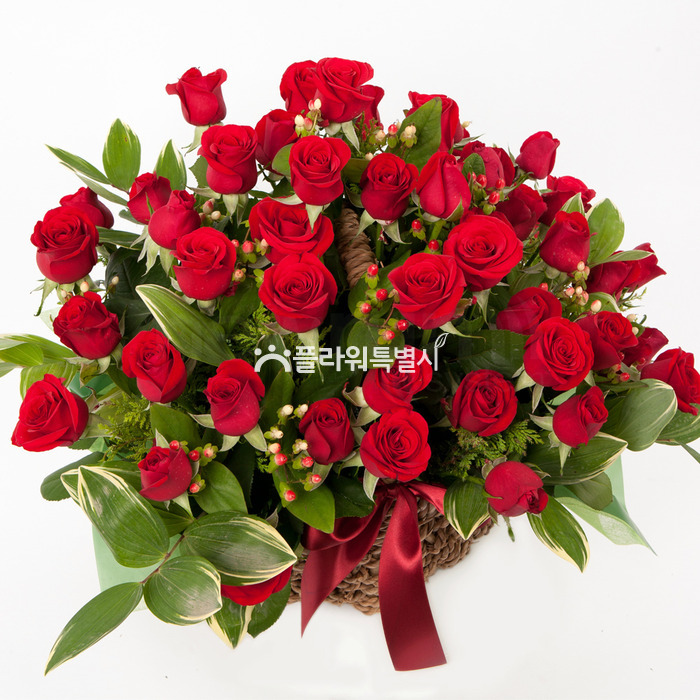 상세이미지