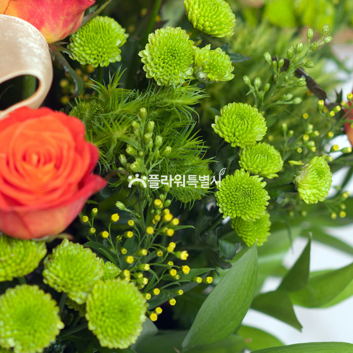 상세이미지