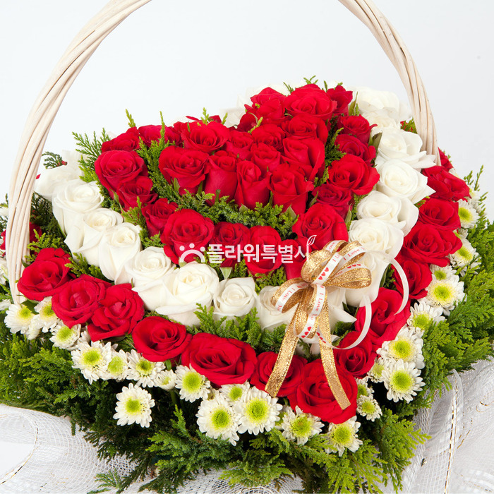 상세이미지